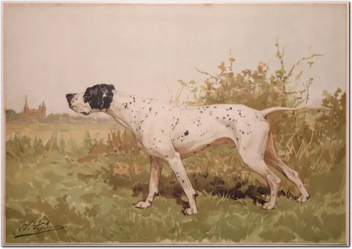 DE PENNE. Ponter. 1890